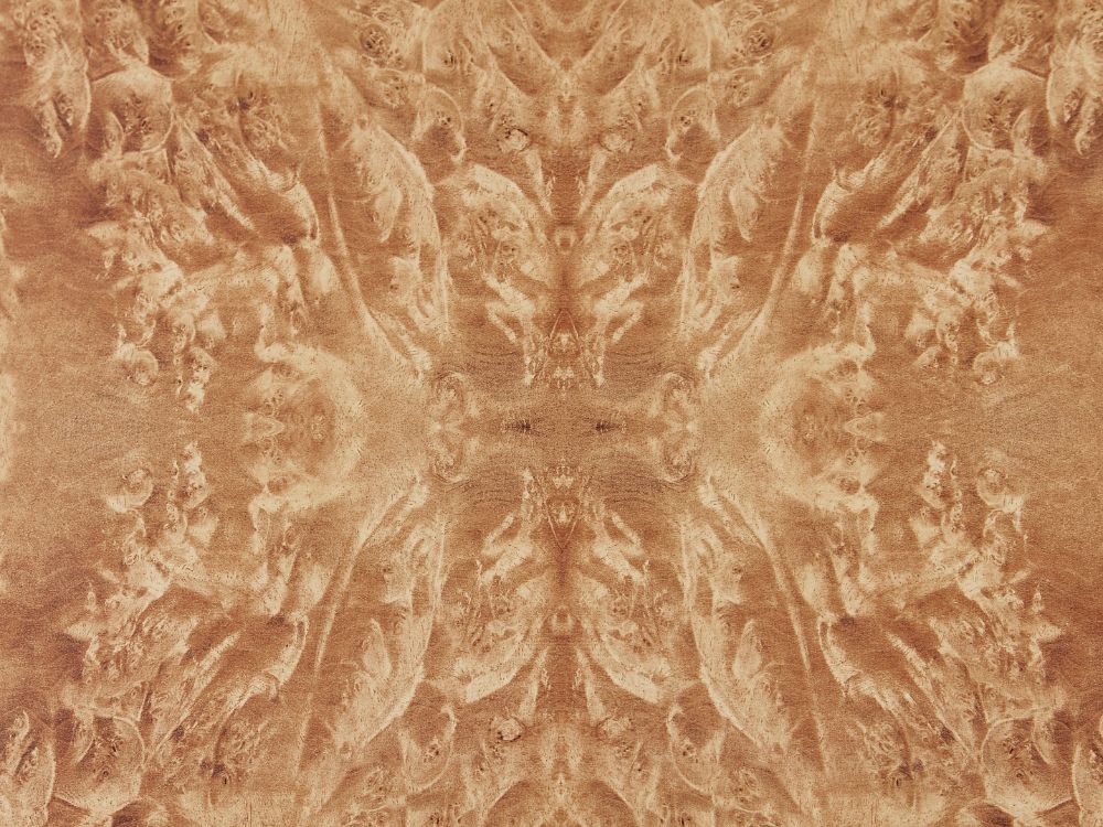 Cam Adjustable Office Desk