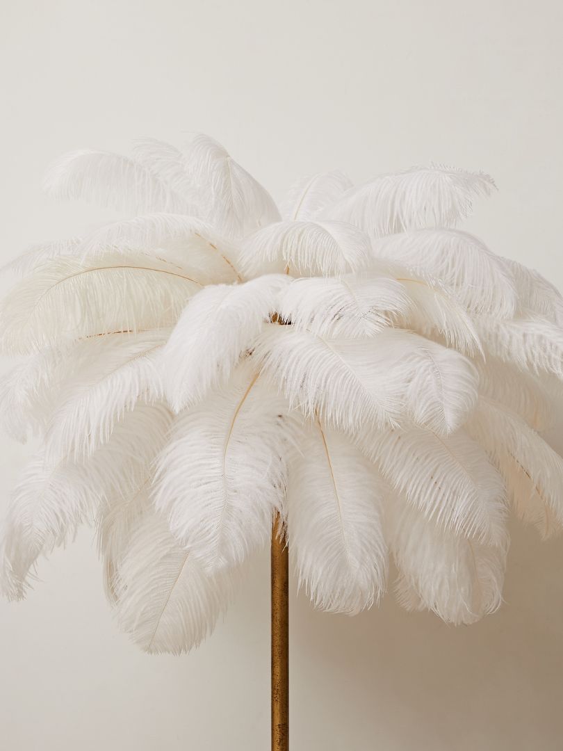 Dion Ostrich Feather Floor Lamp