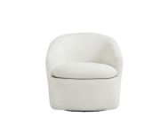 Recliner and Arm Chairs